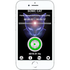 Sonic●Cat