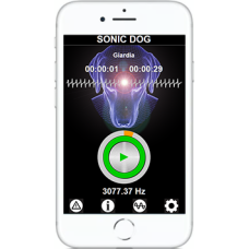 Sonic●Dog